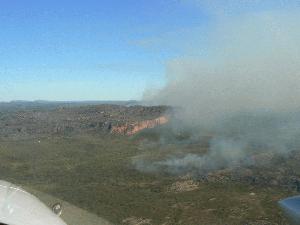 Controled forest fires in the park