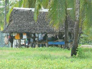 Kiribatian life style