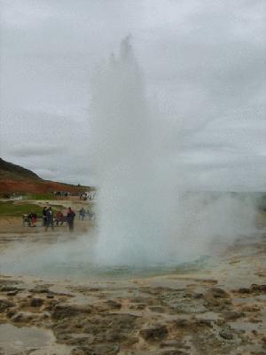 Geysers in Geyser